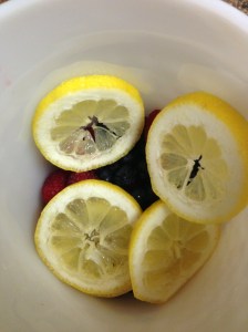 Berries and lemons patiently awaiting the good stuff.