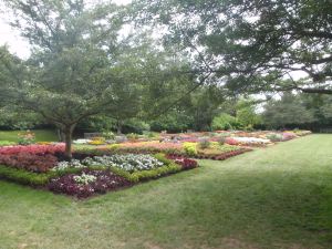 My camera is completely incapable of doing Longwood justice-- it's SO beautiful!