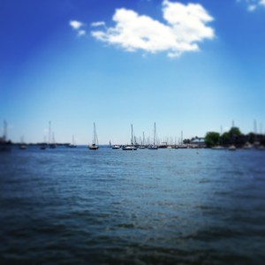 Beautiful weekend to hang out by the harbor!