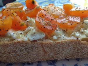 Tomato Goat Cheese Crostini
