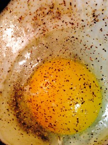 When the spinach is close to done, start frying your eggs and making your toast.  A nice sturdy bread (think French or Brioche types) will support the bevy of toppings you're going to put on it.  We had some Asiago Pesto bread from the local farmer's market (thanks Mom and Aunt!), which worked beautifully.  And if I hadn't had pesto in my bread, I would have seriously considered spreading some on the toast.  So if you don't happen to have any pesto bread available, you should probably consider it too.  And then do it.