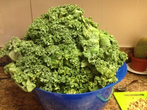 The Kale Monster that's been living in my fridge this week.
