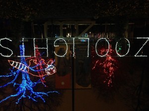 zoo lights