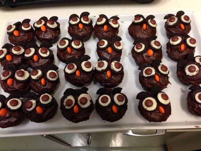 "Happy Whoooo-loween!" was what her email about these lil guys said. She gets me.