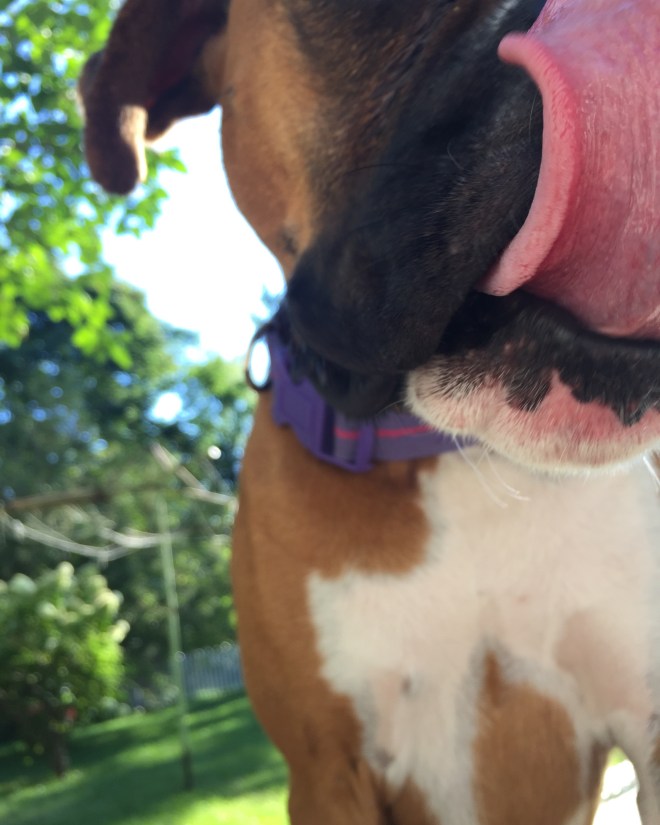 Except this week when it'll be 80 and sunny all week and this will be my view all day, every day.  I'm maybe ok with not saying goodbye to summer JUST yet...