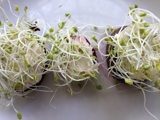 Beets by Dre (SO ORIGINAL)