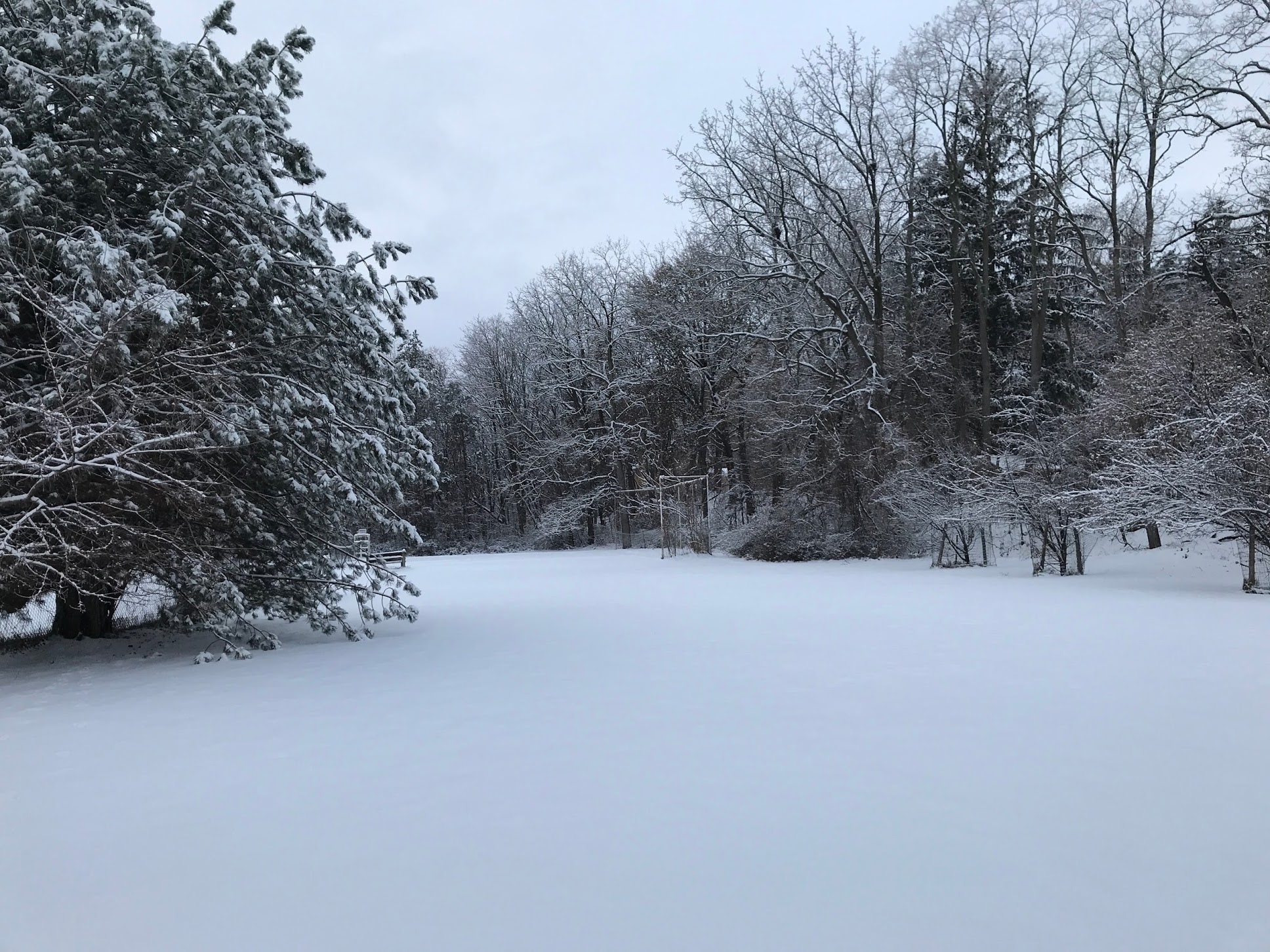 Winter Wonderland | lawandlentils