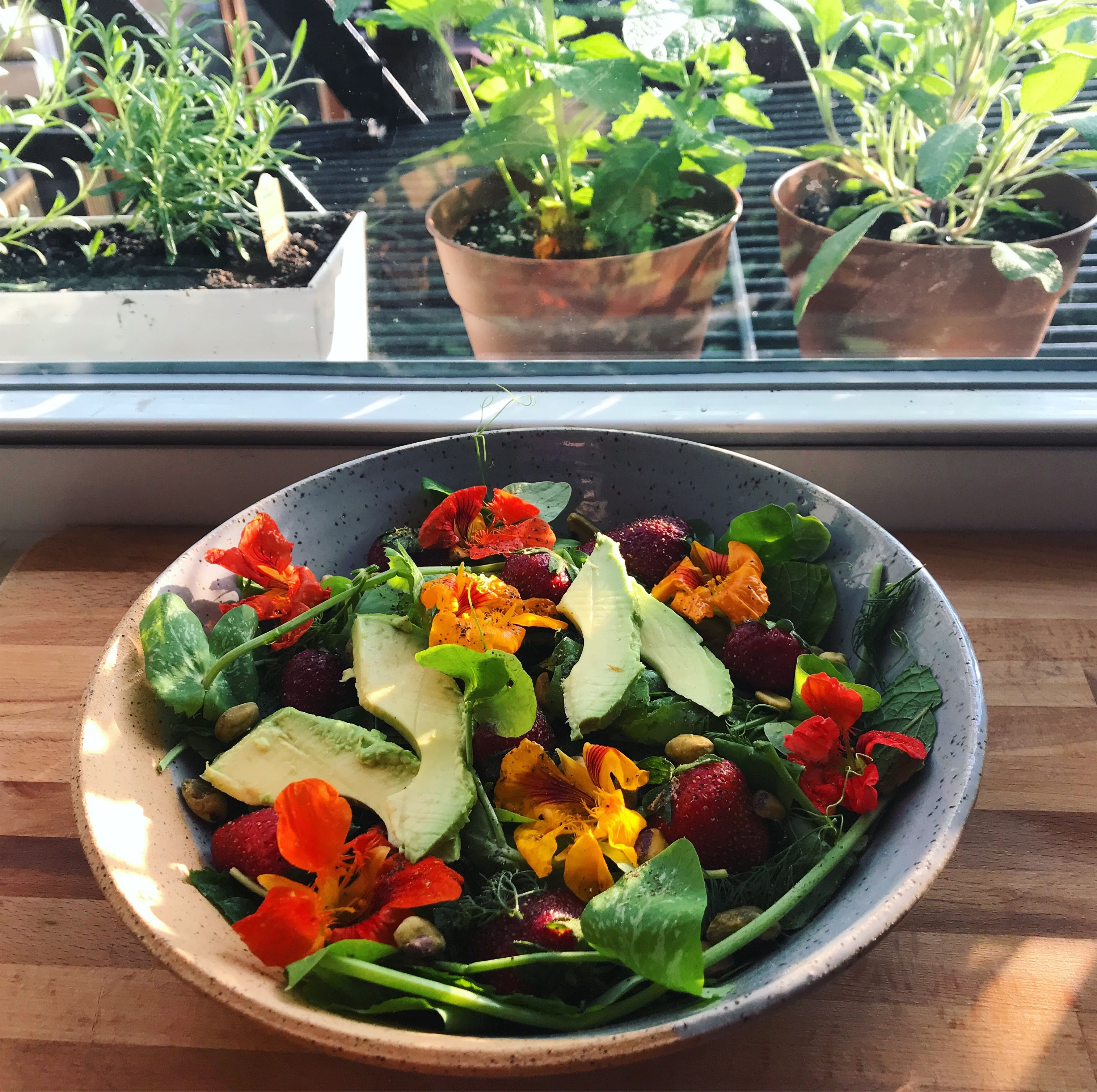 Summery Strawberry Salad | lawandlentils